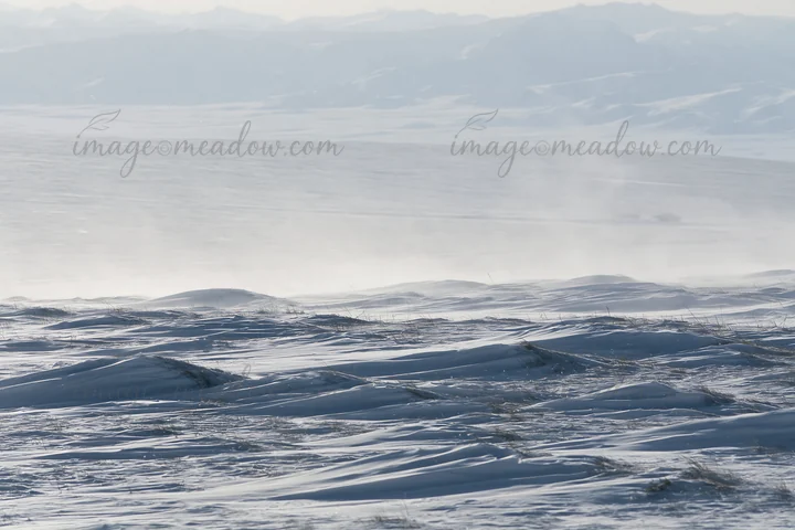 A snowy highland meadow stretches out with soft snow drifts covering the ground. Light snow continues to fall in the distance, creating a winter landscape. The