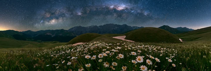 A starlit meadow features wildflowers in the foreground, with a broad view of the night sky filled with stars and the Milky Way above. Rolling hills are visible