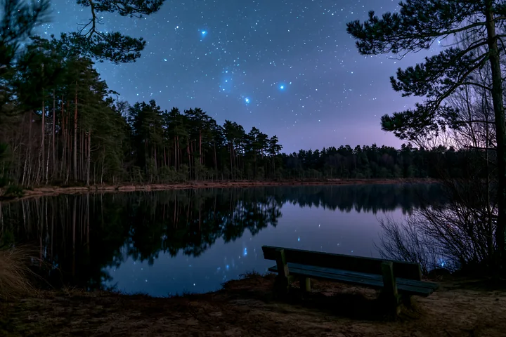 Stars fill the night sky above a dark pine forest by a calm lake.