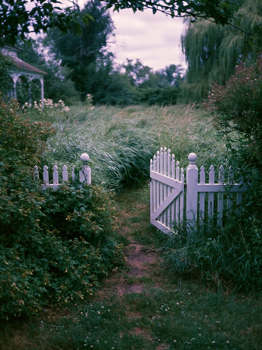 Tall meadow grass sways as wind blows through a pathway by a white picket fence.