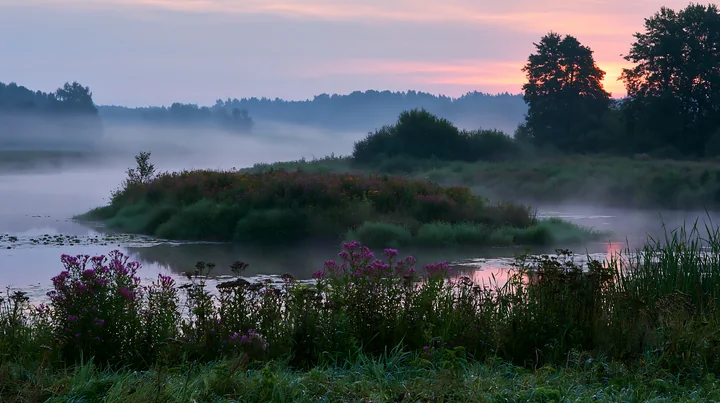 The scene shows an island with flowers in morning mist, surrounded by a calm water body.