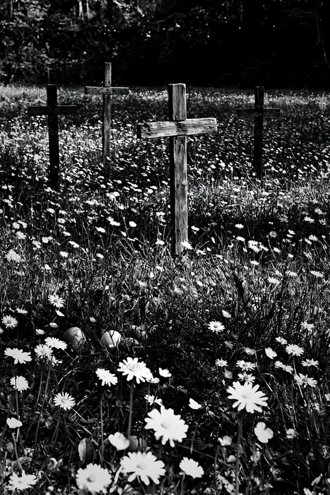 Three wooden Christian crosses stand in a meadow filled with wildflowers. The scene shows a natural setting with dense grass and small blooms. Shadows and light