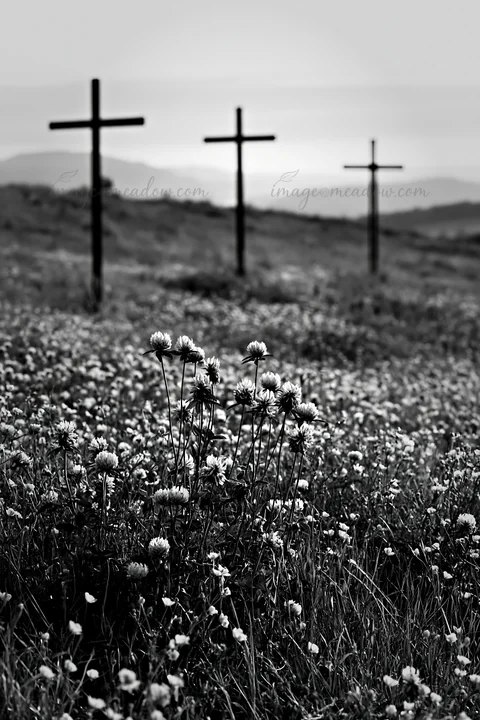 Three iron crosses stand in a meadow filled with small flowers. The scene shows a distant landscape under a cloudy sky. The meadow is lush with grass and blooms