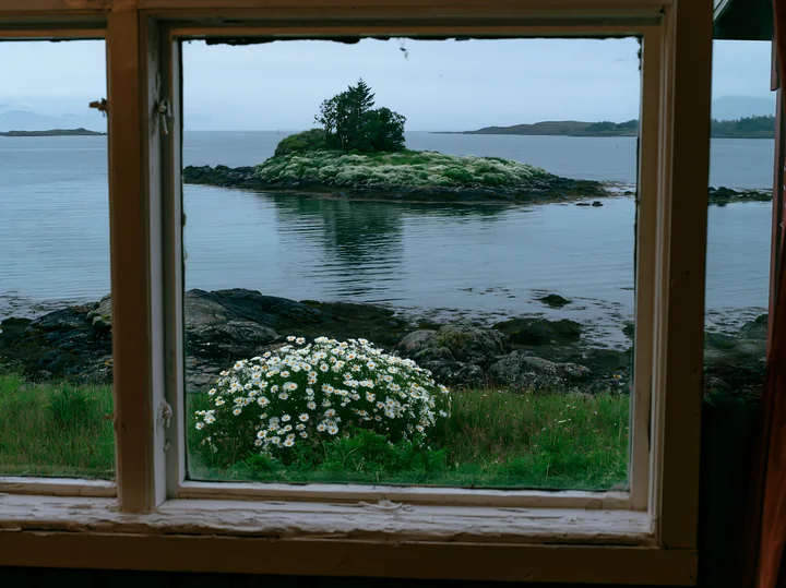 Through a window, a view shows an island with flowers in a calm bay.