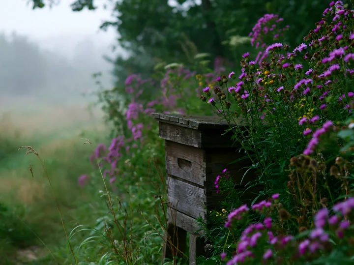 A bee box sits among flowers in a meadow in morning mist.
