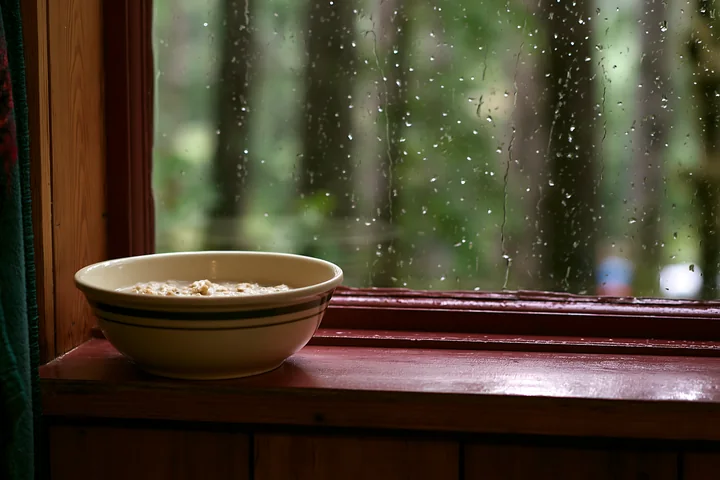 A bowl sits on a windowsill inside a cabin as rain falls outside, showcasing a lush green forest view.