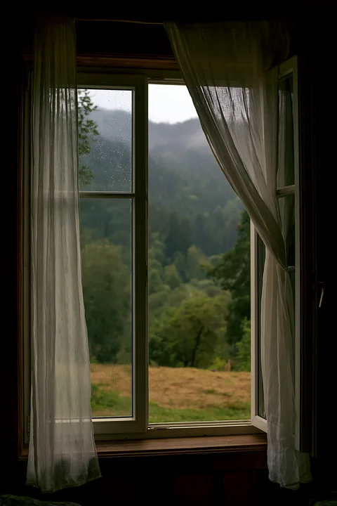 A cabin window frames a rainy mountain landscape filled with green trees and distant hills.