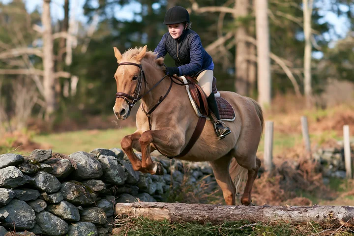 A child rides a horse that jumps over a log in a forested area.