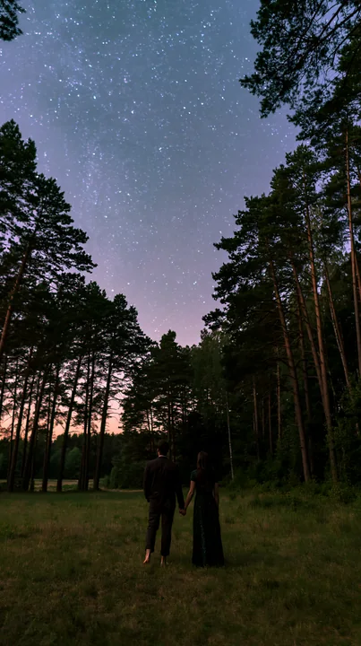 A couple under stars in a pine forest gazes at the night sky.