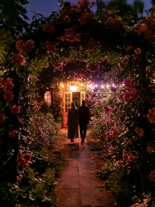 A couple walking away through a rose garden under stars.