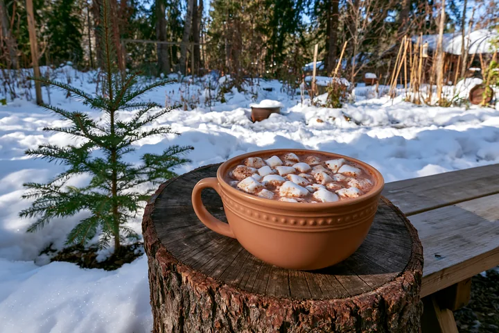 A cup of warm cocoa topped with marshmallows sits on a log in a snowy garden setting.