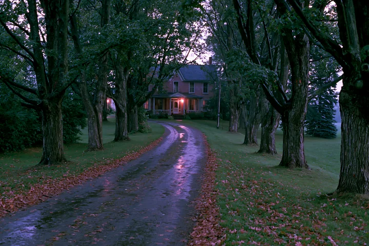 A farmhouse driveway lined with trees guides visitors to a classic home.