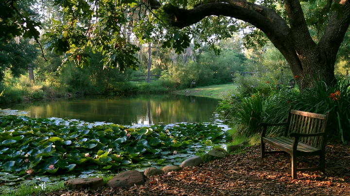 A garden bench sits beside a water lily pond surrounded by greenery and trees.
