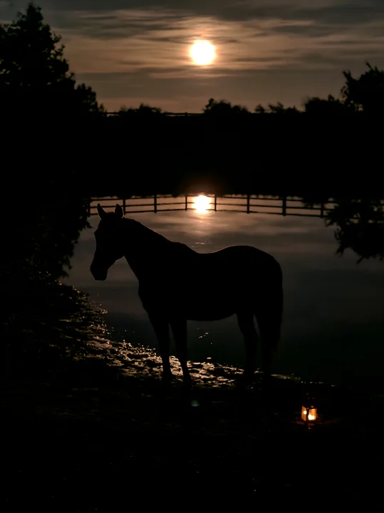 A horse silhouette beneath a full moon stands near a water body.