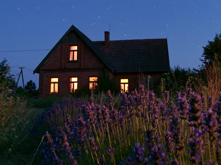 A house is illuminated at night under a starry sky, surrounded by wildflowers.