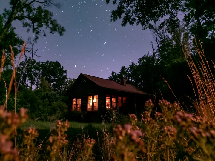 A house sits under a starry sky with wildflowers in the foreground.