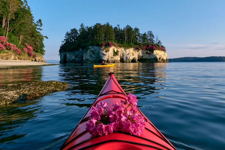 A kayak glides on smooth water, with vibrant flowers decorating an island with white cliffs in the background.