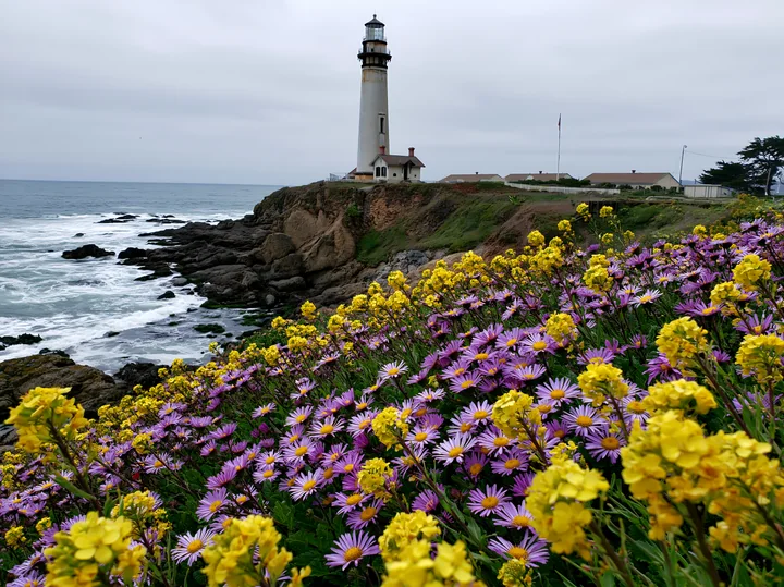 A lighthouse stands tall by the sea, surrounded by colorful wildflowers in spring.