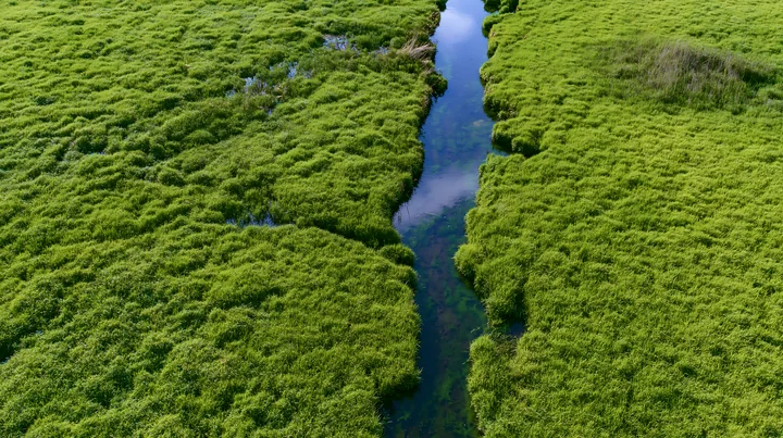 A lush green meadow viewed from above shows a narrow waterway flowing through the grass.