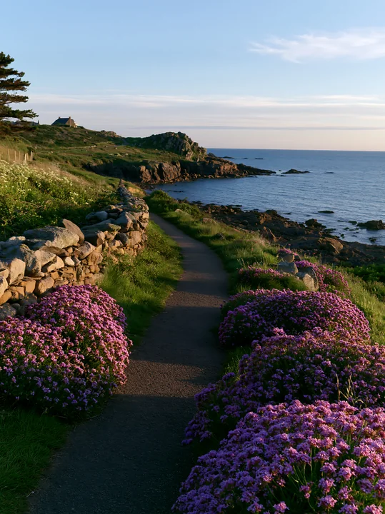 A path lined with purple flowers leads along a coastline with rocky peninsula.