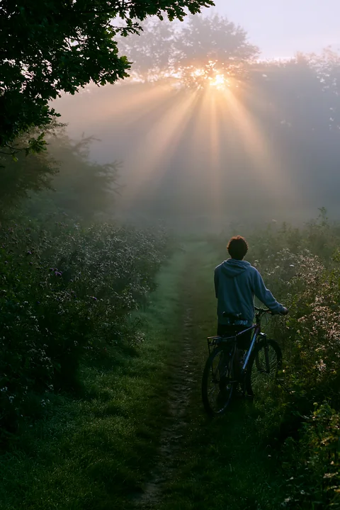 A person pushes a bicycle along a path in a foggy landscape as the sun rises, creating beams of light through the trees.