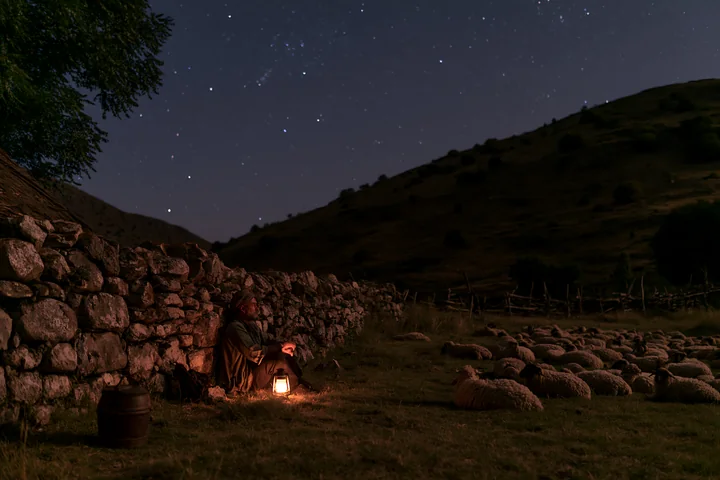 A person sits by a stone wall in a rural area at night, gazing up at a starry sky while surrounded by sheep.