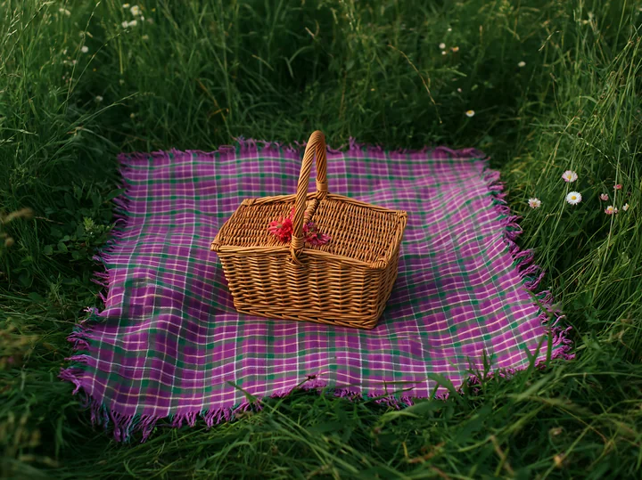 A picnic basket sits on a purple checkered blanket in a meadow viewed from above.