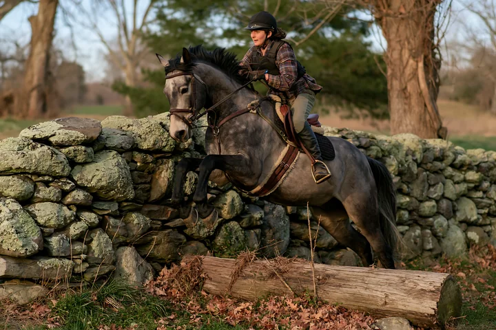 A rider leads a gray horse over a log while navigating a stone wall in an outdoor setting.