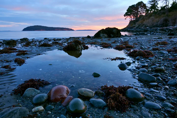 A rocky coastline features dark stones and tide pools that reflect the sky.
