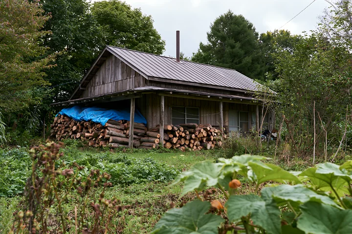A rural cottage sits surrounded by greenery, with a stack of firewood parked beside it.