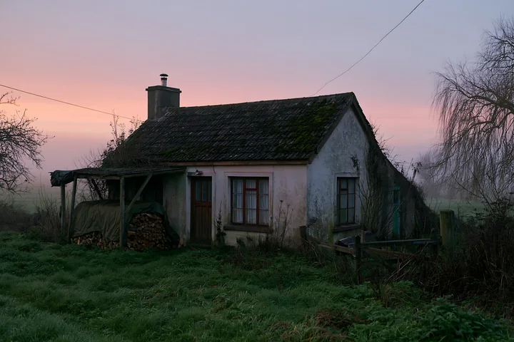 A rural cottage with firewood stack sits amid tall grass and trees as dusk arrives.
