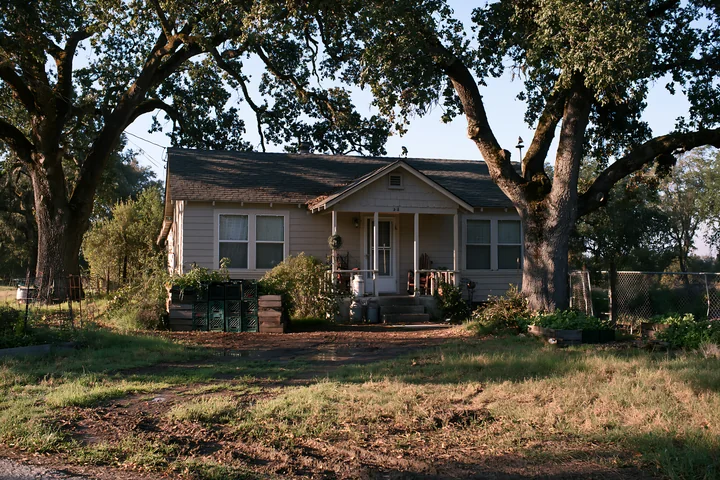 A rural home under oak trees features a well-maintained garden and a dirt path leading to the front.