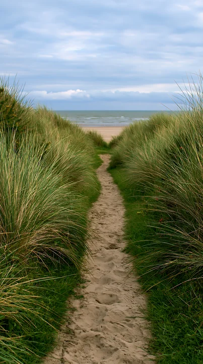 A sandy pathway surrounded by tall grass leads to an empty beach meadow under a cloudy sky.