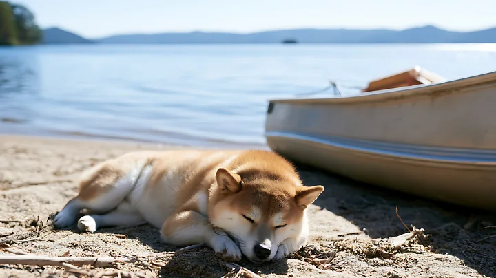 A shiba inu lays on the sand next to a paddle boat beside a lake.