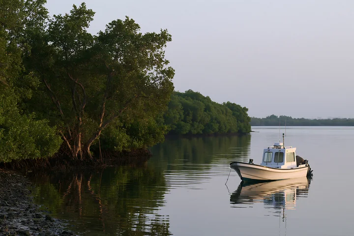 A small boat floats in still water near a lush coastline with protected marine habitat.