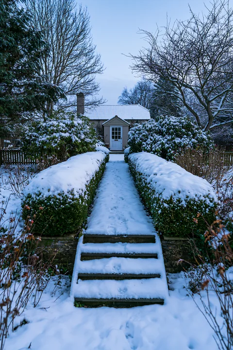 A snowy path leads to a farmhouse surrounded by green bushes and trees.