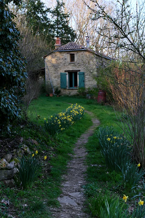 A stone house with green shutters stands near a garden path lined with blooming daffodils.