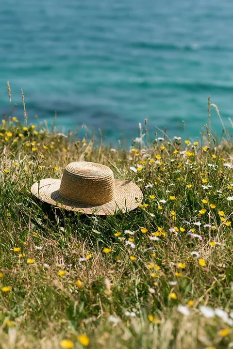 A straw hat lies on green grass surrounded by flowers near the sea.