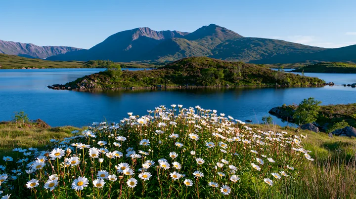 A vibrant display of flowers is seen in the foreground, while a calm lake and mountains create a scenic backdrop.