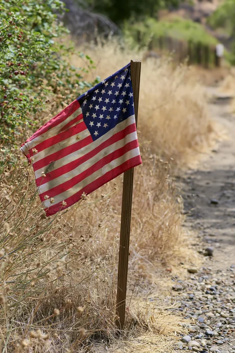 A weathered American flag stands on a wooden post beside a dirt path lined with dry grass and green foliage.