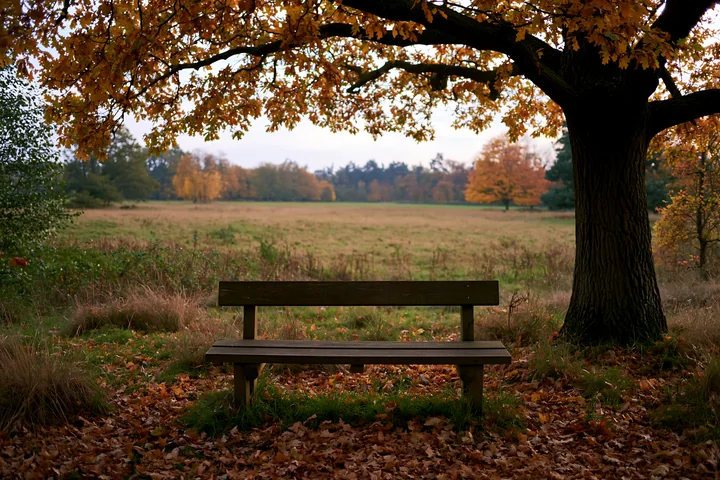 A wooden bench sits in a meadow beneath an oak tree surrounded by fallen leaves.