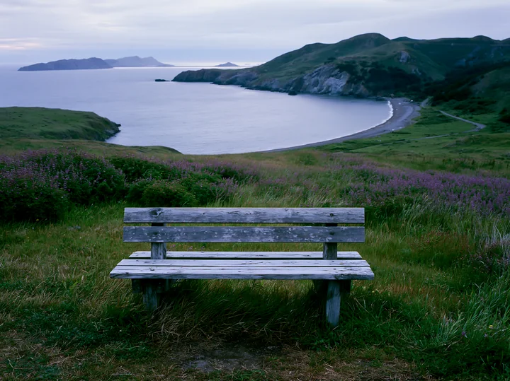 A wooden bench sits on a grassy hill overlooking a coastline with sheltered bay.