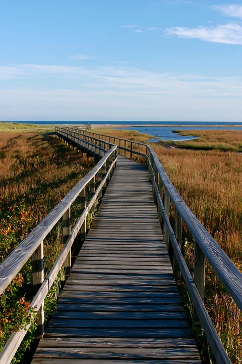A wooden boardwalk stretches through a salt marsh, offering access to the coastline.
