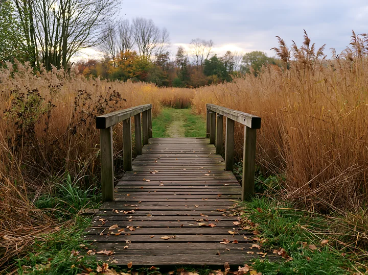 A wooden footbridge crosses a grassy path in a meadow with tall plants and trees in the background.