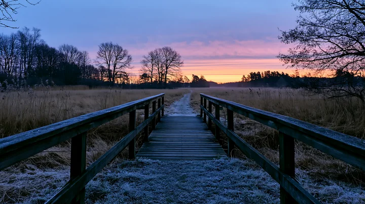 A wooden footbridge stretches across a meadow during sunset.