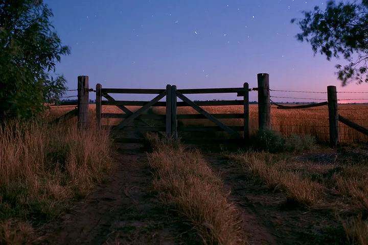 A wooden gate stands open at the edge of a wheat field under a starry night sky.
