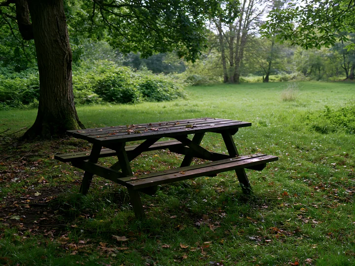 A wooden picnic table sits in the shaded meadow in woodland clearing surrounded by trees and greenery.