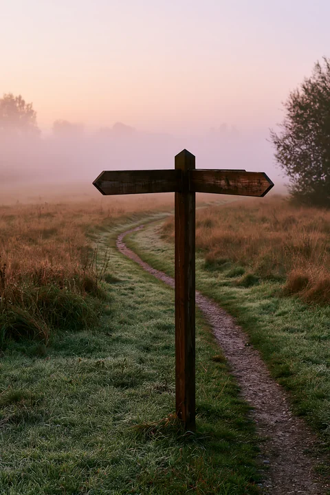 A wooden signpost stands at a crossroads in a meadow in morning mist.