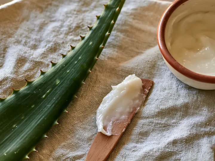 Aloe vera leaf rests beside a cream dose on a wooden spatula.