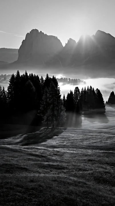 Sunlight breaks through the mountains at Alpe di Siusi meadow. Trees are outlined by the warm light. Fog covers the lower ground, creating a layered view of the